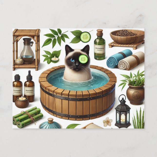 Spa party for Siamese Cat Lovers  Postkarte (Vorderseite)