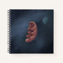 Space Tardigrade-Notebook