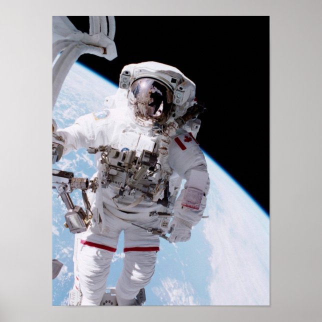Spacewalk (STS-100) Poster (Vorne)