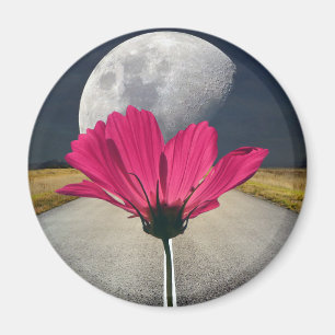 Spacey Cosmos Magnet