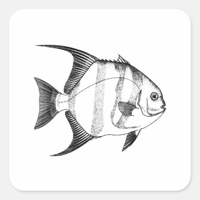 Spadefish Illustration Quadratischer Aufkleber (Vorderseite)