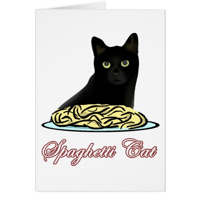 Spagehetti Katzen-Beredsamkeit (Vorne)