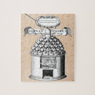 Spagyrische Kräutermedizin