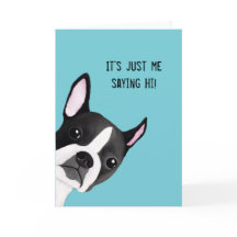Spähen Boston-Terrier-der illustrierten Gruß-Karte