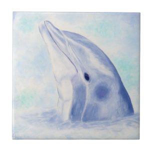 Spähen der Delphin-quadratischen Fliese