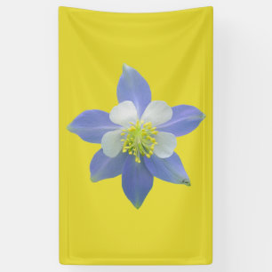 Spalte 2 banner