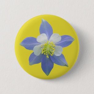 Spalte 2 button