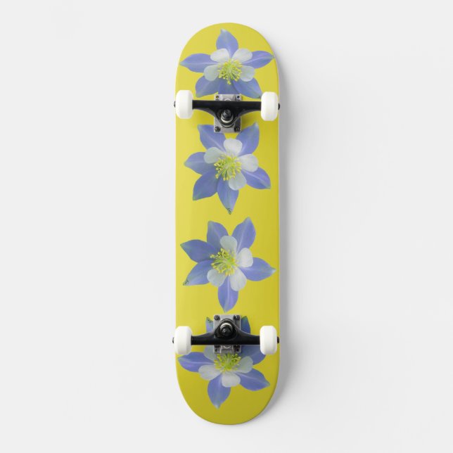 Spalte 2 skateboard (Vorderseite)