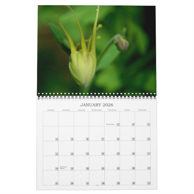 Spalten Kalender (Jan 2026)