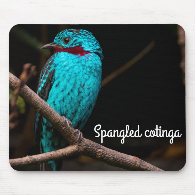 Spangled Cotinga Mousepad (Vorne)