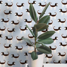 Spaniel Dog Pattern