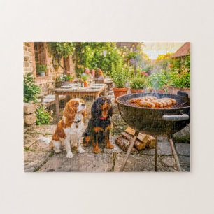 Spaniel-Duo beobachtet Terrassen-BBQ-Würstchen