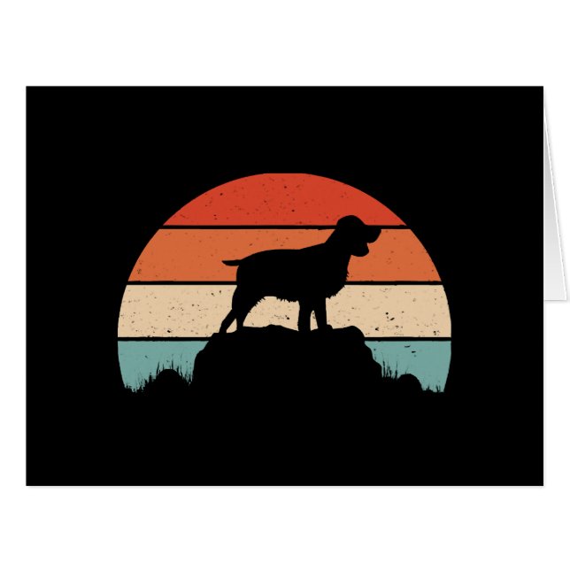 Spaniel English springer (Vorderseite (Horizontal))