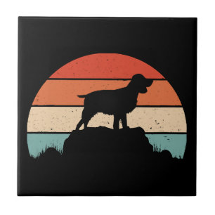 Spaniel English springer Fliese