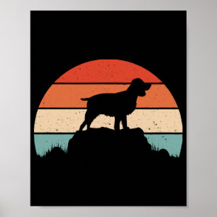 Spaniel English springer Poster