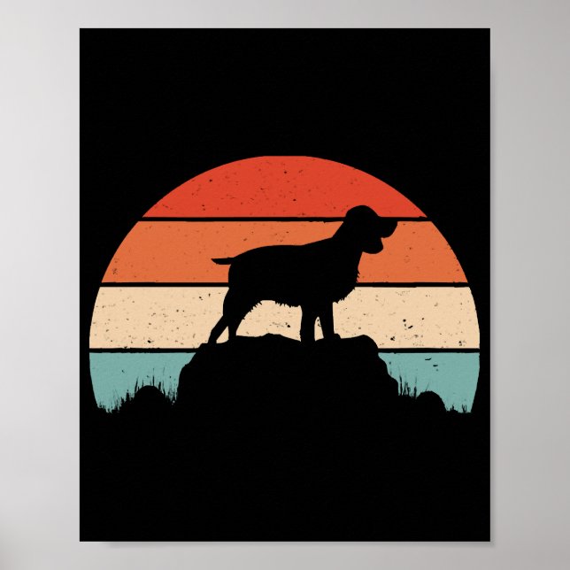 Spaniel English springer Poster (Vorne)