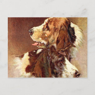 Spaniel-Hunde Vintage-Kunst-Design Postkarte
