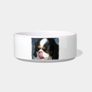 Spaniel-Hundehaustier-Schüssel Napf