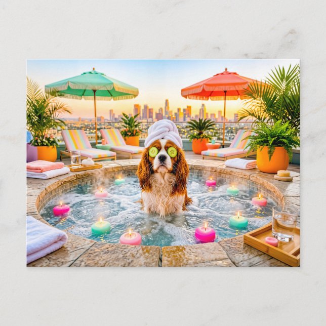 Spaniel im Wellnesspool Postkarte (Vorderseite)