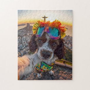 Spaniel-Karnevalsblick auf Rio