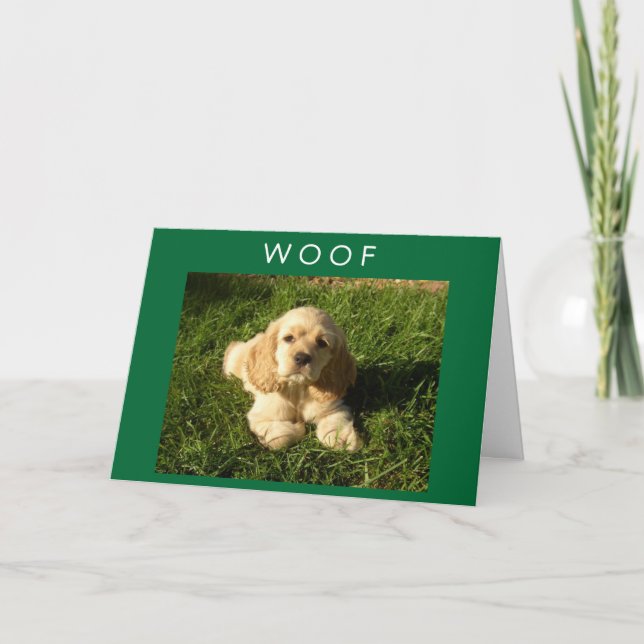 SPANIEL SAYS WOOF-AND-HAPPY BIRTHDAY MOM KARTE (Vorderseite)