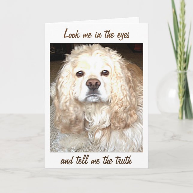 SPANIEL SIEHE MIR IN DIE AUGEN/ERZÄHLT MIR WAHRHEI KARTE (Vorderseite)