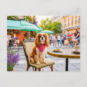Spaniel-Stadtausflug im Außen-Café Postkarte