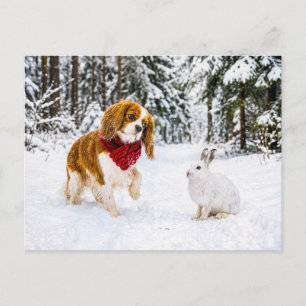 Spaniel trifft Schneehase im Winterwald Postkarte