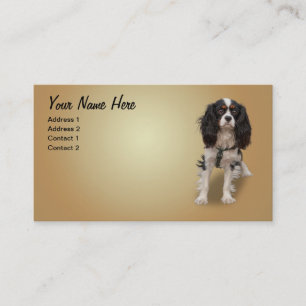 SPANIEL VISITENKARTE