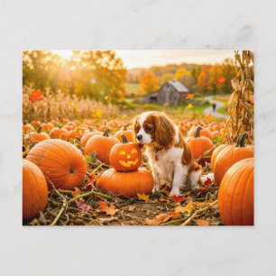 Spaniel-Welpe auf einem herbstlichen Kürbisfeld Postkarte