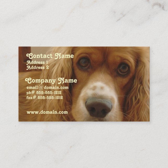 Spaniel-Zucht-Visitenkarte Visitenkarte (Vorderseite)