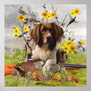 Spaniels "English Springer", Art Poster