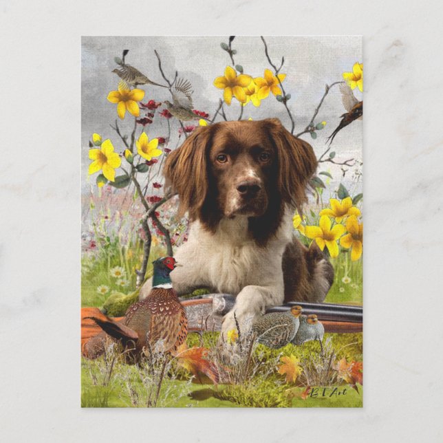 Spaniels "English Springer", Art Postkarte (Vorderseite)