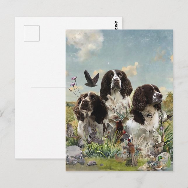 Spaniels "English Springer", Art Postkarte (Vorne/Hinten)