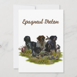 Spaniels in der Bretagne, Vogeljagd Einladung