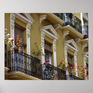 Spanien, Sevilla, Andalusien Geranien hängen über Poster