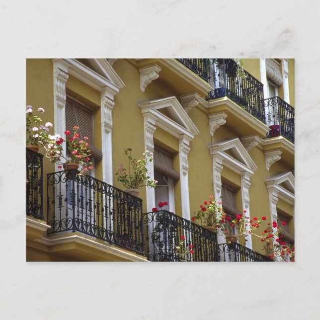 Spanien, Sevilla, Andalusien Geranien hängen über Postkarte (Vorderseite)