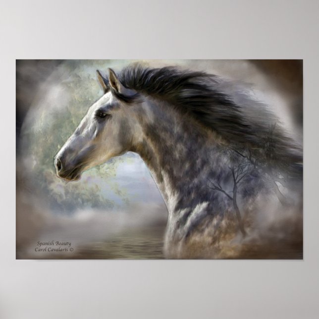 Spanisch Beauty Art Poster/Print Poster (Vorne)