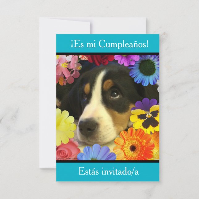Spanisch: Fiesta de cumpleaños - Invitación Einladung (Vorderseite)