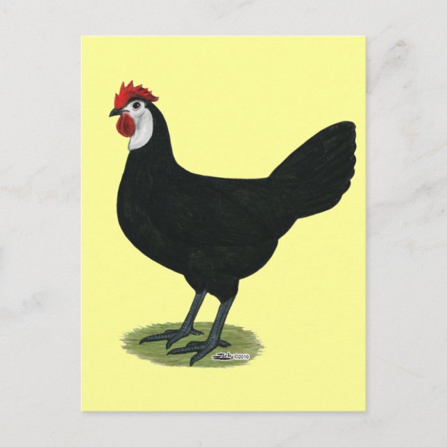 Spanisch:  Hen Postkarte (Vorderseite)