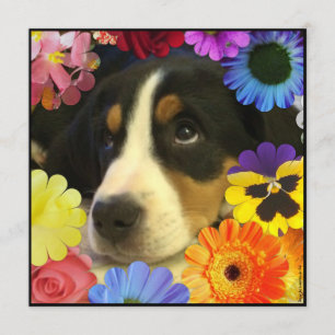 Spanisch: Invitación de cumpleaños / Geburtstag Einladung