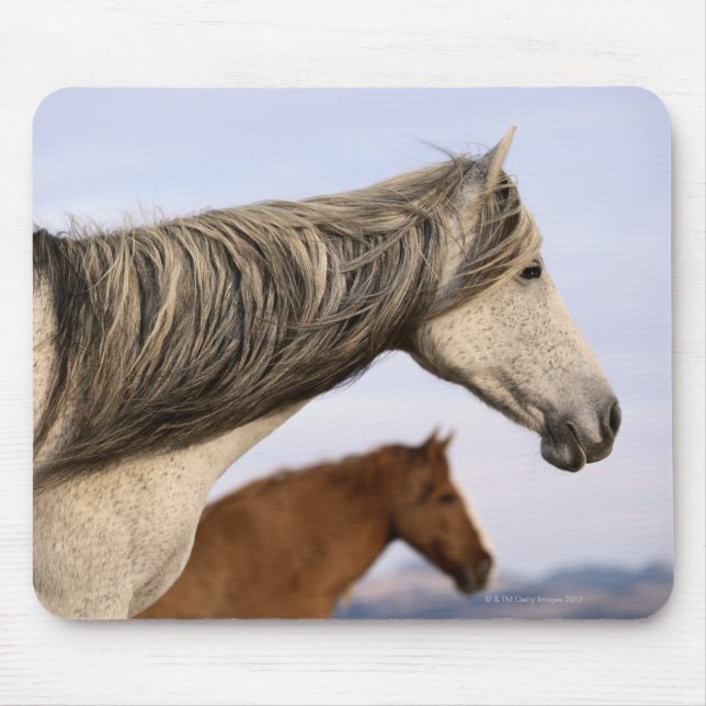 Spanisch Mustangs Mousepad (Vorne)