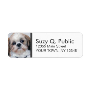 Spanisch Shih Tzu-Adressenlabel