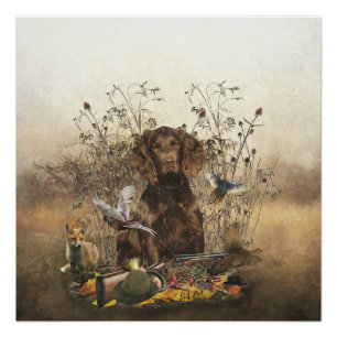 Spanisch, Wachtelhund Poster