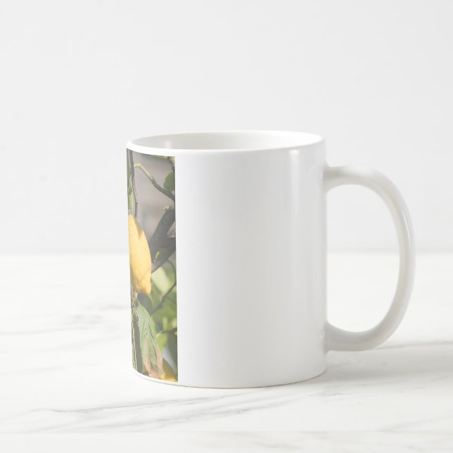 Spanische Lemon Graphics Kaffeetasse (Rechts)
