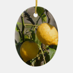 Spanische Lemon Graphics Keramik Ornament