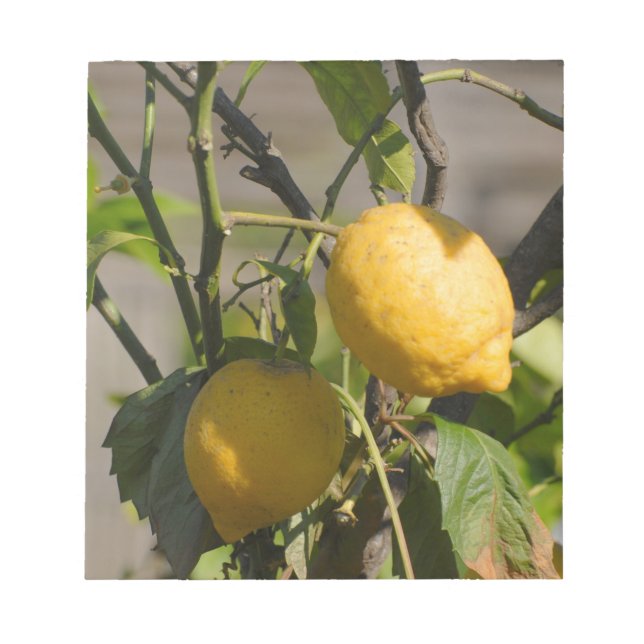 Spanische Lemon Graphics Notizblock (Vorderseite)
