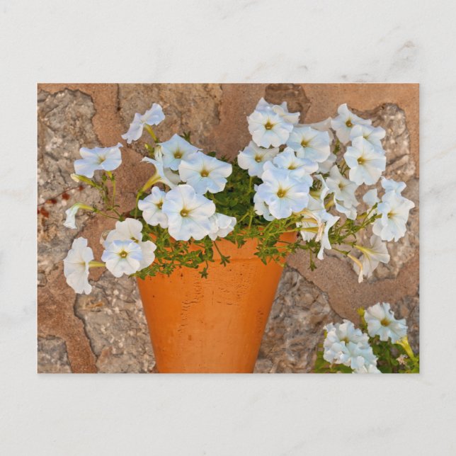 Spanische Mauer Postkarte (Vorderseite)