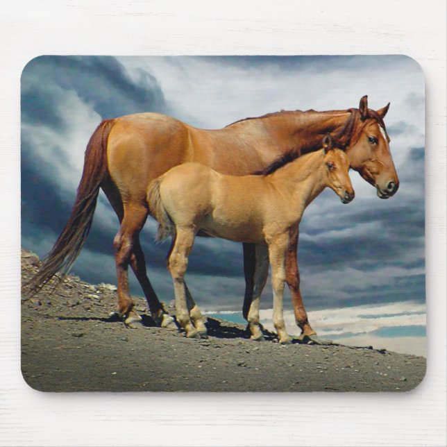 Spanische Mustang-Stute Mousepad (Vorne)