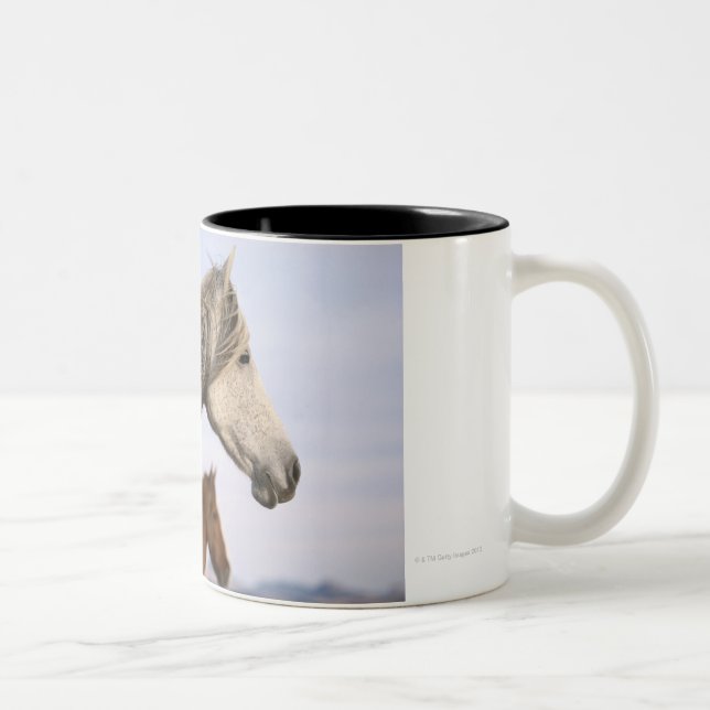Spanische Mustangs Zweifarbige Tasse (Rechts)
